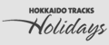 Niseko Accommodation
